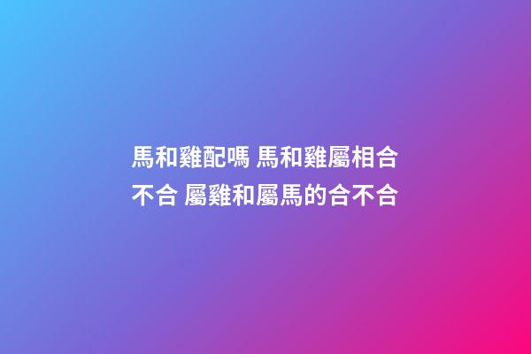馬和雞配嗎 馬和雞屬相合不合 屬雞和屬馬的合不合